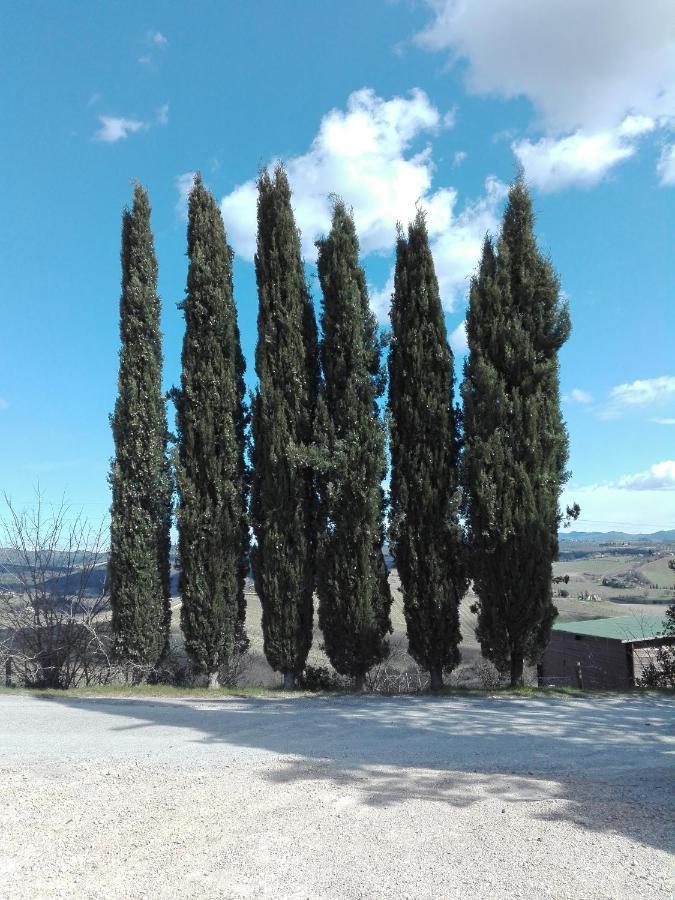 Country House Martina Castelnuovo Berardenga Exterior foto